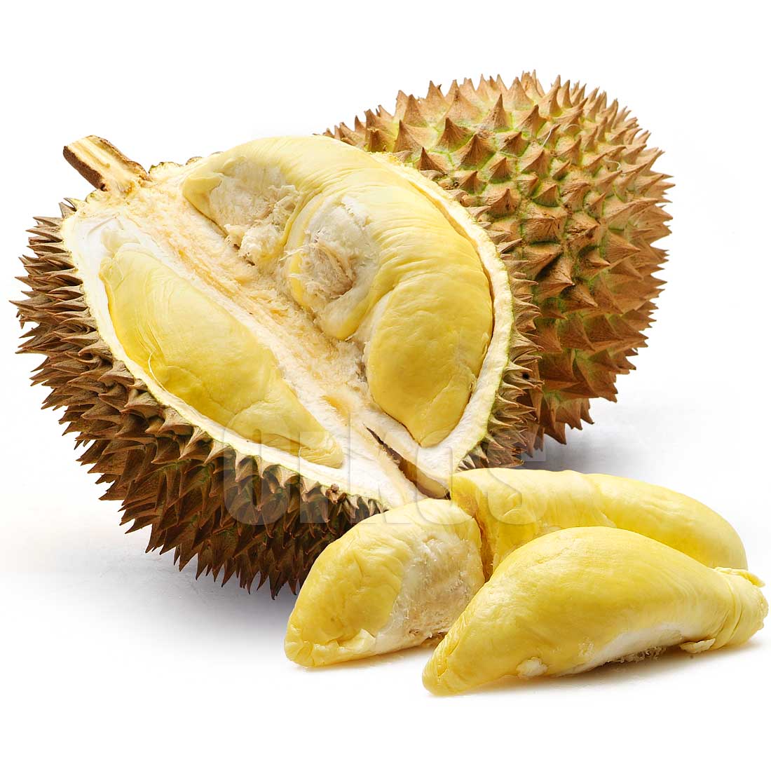 Durian Musang King